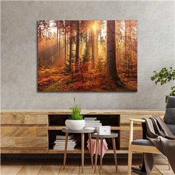 Yatay DoğaTemalı Cam Tablo 388