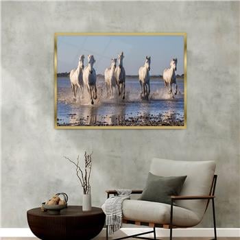 Alüminyum Çerçeveli Doğa Temalı Cam Tablo 003