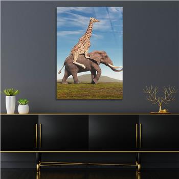 لوح زجاجي الطبيعة