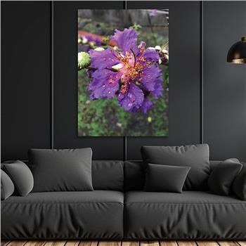 لوح زجاجي الطبيعة