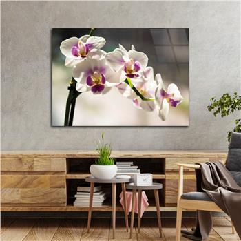 Thema Natur auf bedrucktem Glas 312