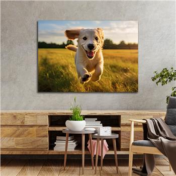 Yatay Doğa Temalı Cam Tablo 568