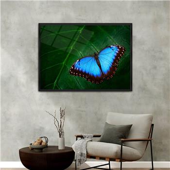 Aluminium Omlijste Natuur Thema Geharde Glasschilderij 122