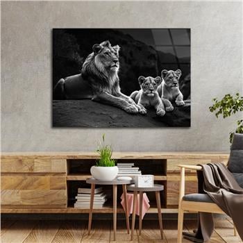 Yatay Doğa Temalı Cam Tablo 440