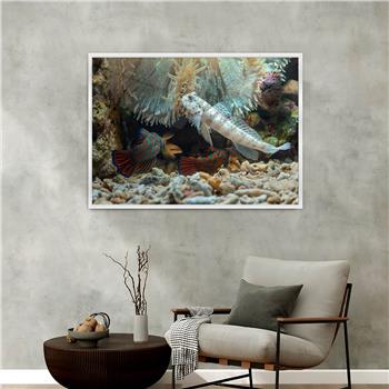 Aluminium Omlijste Natuur Thema Geharde Glasschilderij 059