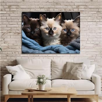 Yatay Doğa Temalı Cam Tablo 563