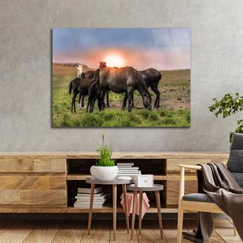 Tempered Glasss Wall Arts Art-Themed