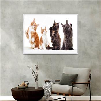 Aluminium Omlijste Natuur Thema Geharde Glasschilderij 125