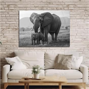 Yatay Doğa Temalı Cam Tablo 559