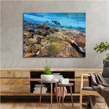 DOĞA TEMALI TABLOLAR