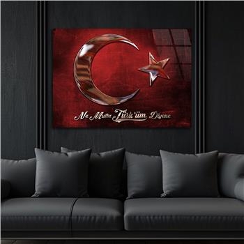 Yatay VatanTemalı Cam Tablo 123