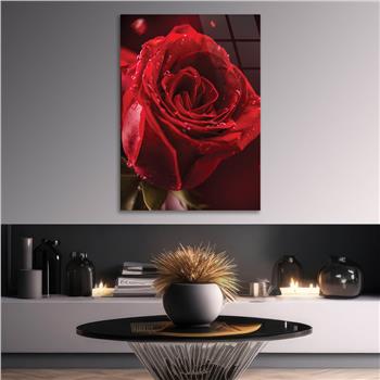 KIRMIZI  GÜL GÖRSELLİ CAM TABLO