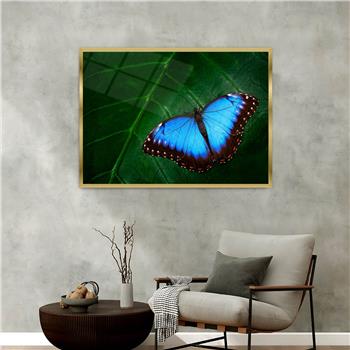 Aluminium Omlijste Natuur Thema Geharde Glasschilderij 122