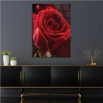 KIRMIZI  GÜL GÖRSELLİ CAM TABLO