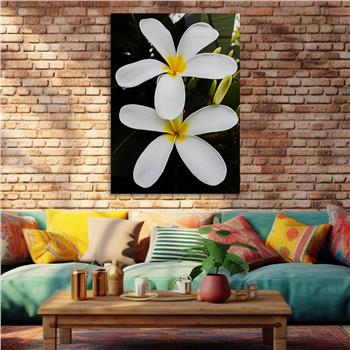 لوح زجاجي الطبيعة