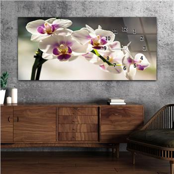 Horizontaal, Aan De Zijkant Voorzien Van Een Klok, Kunst en Natuur Thema Gehard Glasschilderij 201