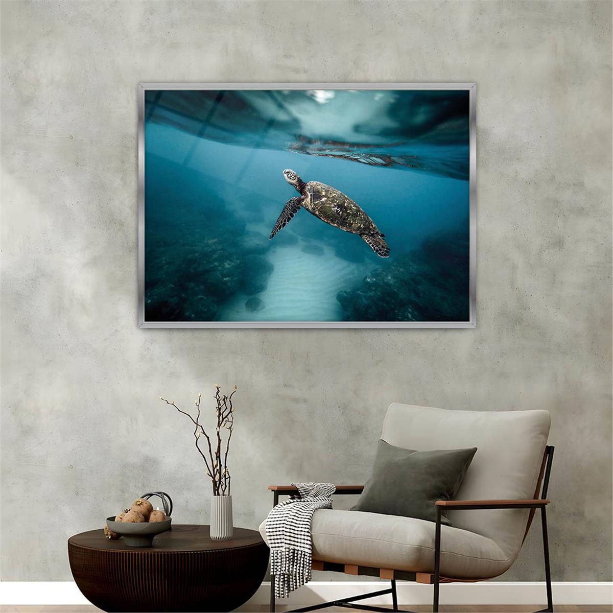 Aluminum-Framed Art-Themed Tempered Glass Wall Art 158