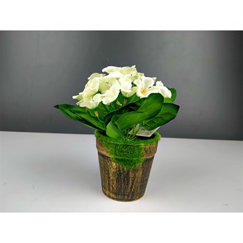 Çılgın Çiçekçilik Yosunlu Saksıda Yapay Beyaz Menekşe - Pembisden