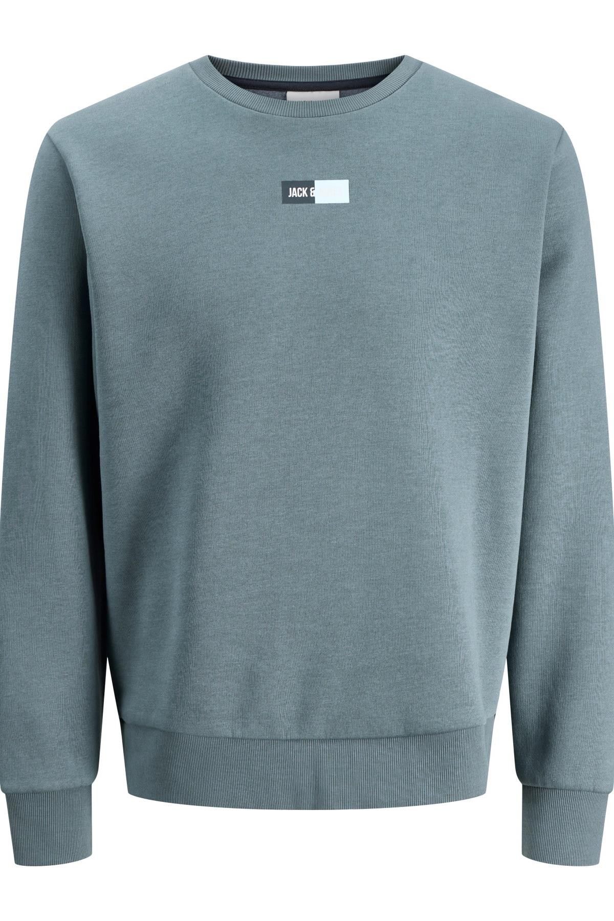Jack & Jones JJPAN Erkek Bisiklet Yaka Sweatshirt Günlük Rahat 