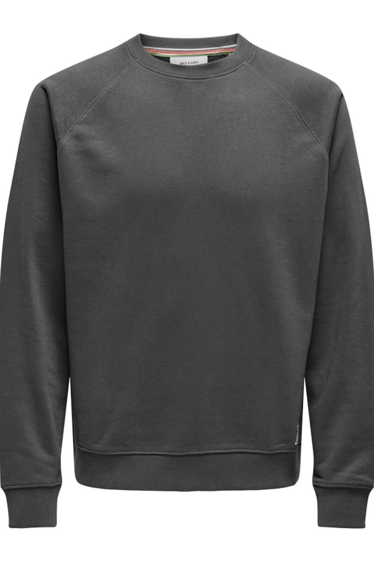 ONSMICHI LIFE REG CREW NECK SWEAT GRİ 22030618