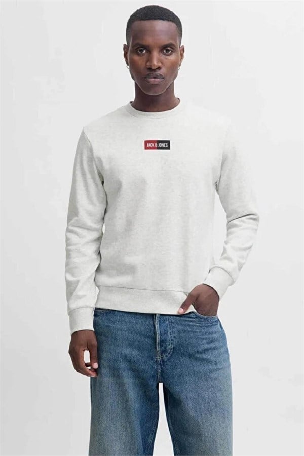 Jack & Jones JJPAN Erkek Bisiklet Yaka Sweatshirt Günlük Rahat 