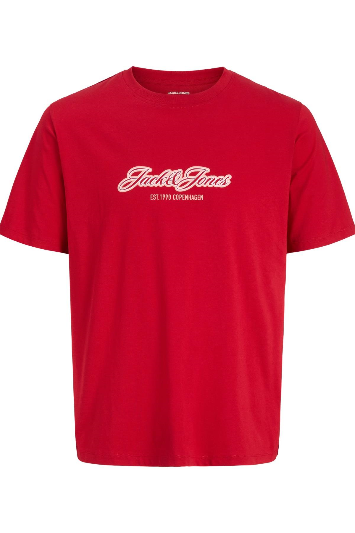 JACK & JONES Erkek JORCATSKILLS BALLON TEE SS CN FST Balon Kesim Tişört 