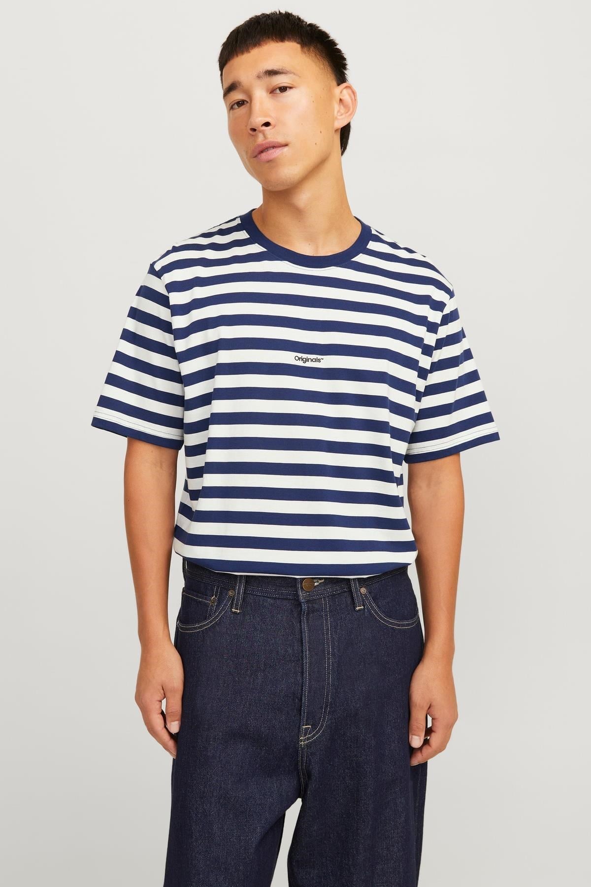 Jack & Jones JORVESTERBRO Newton Çizgili Bisiklet Yaka Erkek T-Shirt 