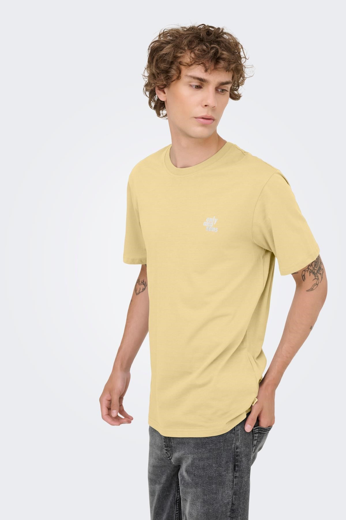 ONSMAXIM CTN REG SS TEE 