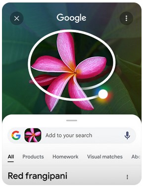  Daire içine al, bul. Dinle ve bul Ekranda bitkilerin olduğu bir görsel yuvarlak içine alınıyor ve altında Google arama sonuçları beliriyor. İstediğiniz şarkıyı çalın, söyleyin veya mırıldanın. Google sanatçı ve şarkı adını sizin için arayıp sonuçları listeler.  Google ile Seçerek Arat, ekranda görünenlerle ilgili arama yapmanızı ve Yapay Zeka Genel Bakışları ile daha hızlı şekilde bilgi almanızı sağlar. Resim, video veya metin gibi bir nesneyi parmağınızla daire içine almanız yeterlidir. Sonuçlar hemen gösterilir. Hatta uygulamalar arasında geçiş yapmadan, dinlediğiniz şarkı için bile arama yapabilirsiniz.