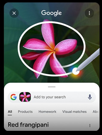  Daire içine al, bul. Dinle ve bul. S Pen, bir bitkiyi daire içine alıyor. Google arama çubuğu ve altta sonuçlar beliriyor. İstediğiniz şarkıyı çalın, söyleyin veya mırıldanın. Google sanatçı ve şarkı adını sizin için arayıp sonuçları listeler.  Google ile Seçerek Arat, ekranda görünenlerle ilgili arama yapmanızı ve Yapay Zeka Genel Bakışları ile daha hızlı şekilde bilgi almanızı sağlar. Resim, video veya metin gibi bir nesneyi parmağınızla veya S Pen ile daire içine almanız yeterlidir. Sonuçlar hemen gösterilir. Hatta uygulamalar arasında geçiş yapmadan, dinlediğiniz şarkı için bile arama yapabilirsiniz.