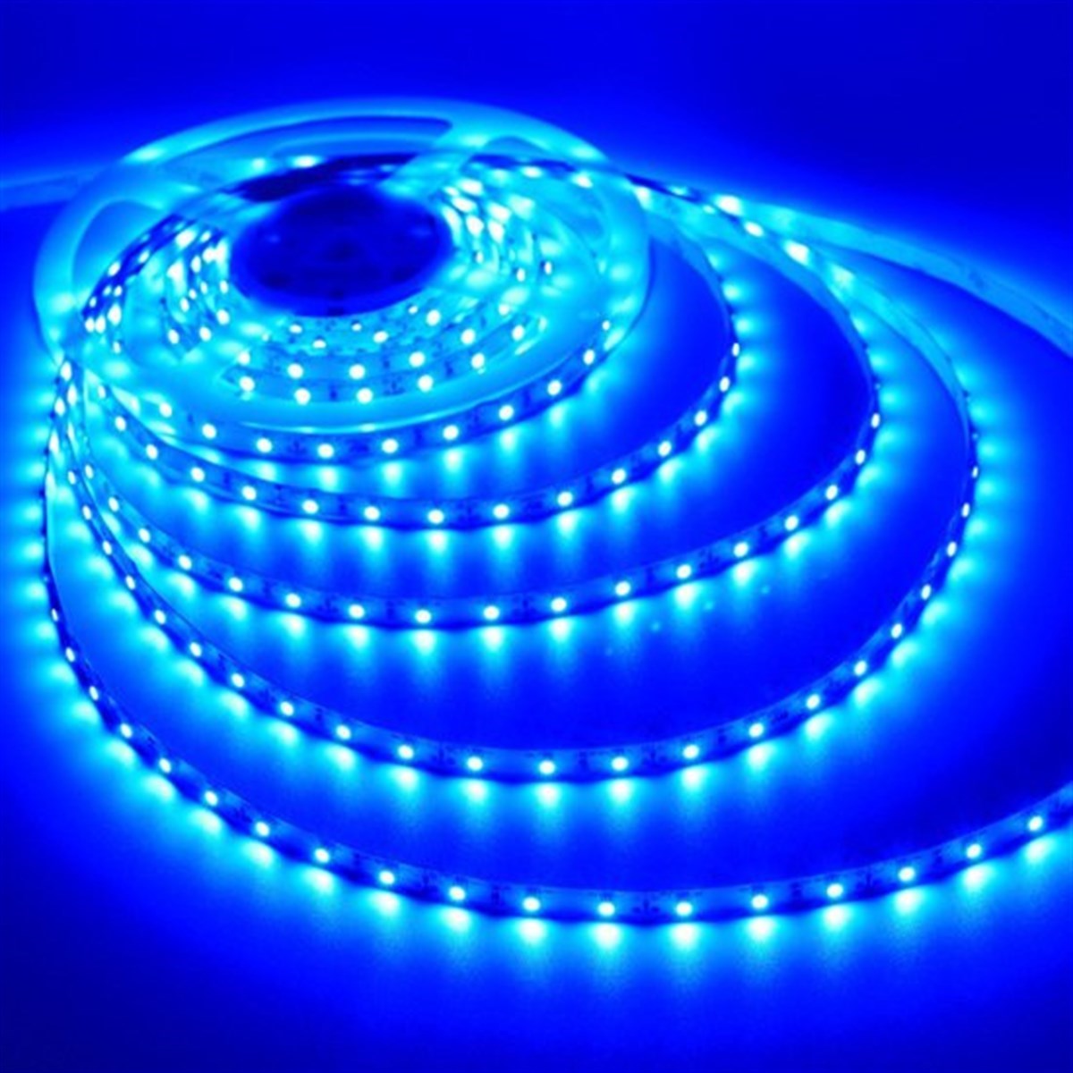 Eld 5050 60 Chip Double Pcb Silikonsuz Şerit Led Mavi 5 Metre