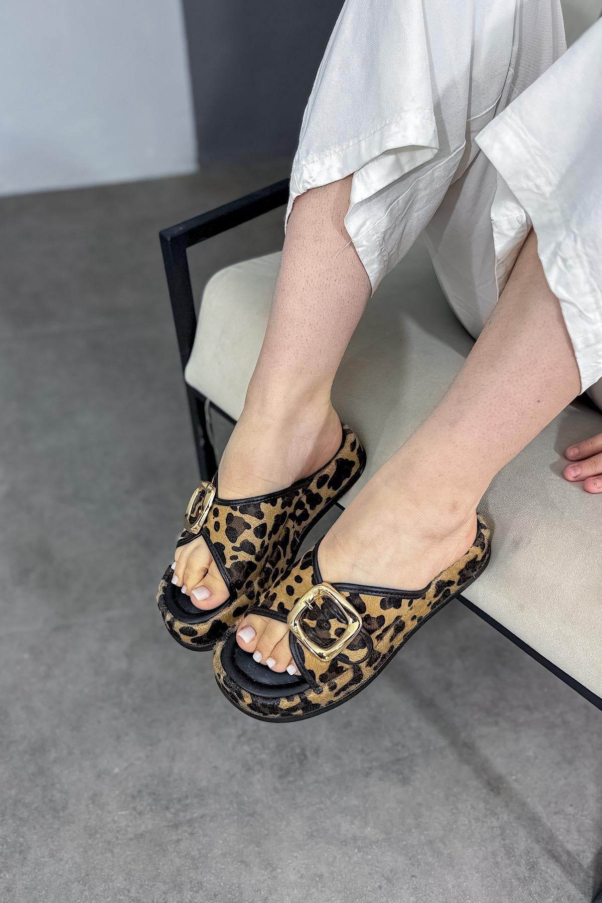 Mias Leopar Gold Toka Detaylı Kadın Terlik