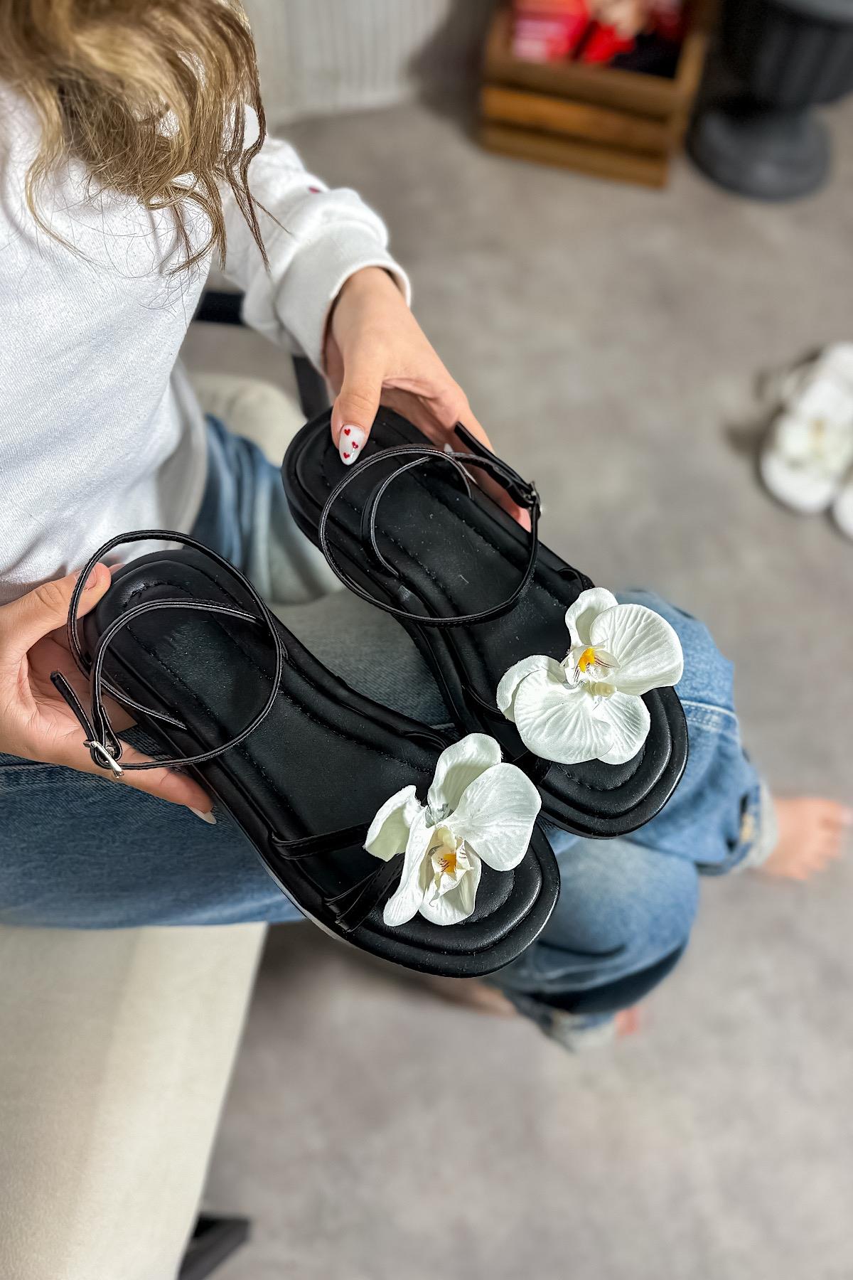 Oils Siyah Çiçek Detaylı Kadın Sandalet