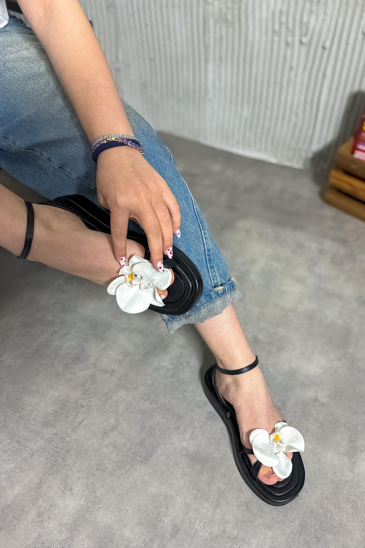 Oils Siyah Çiçek Detaylı Kadın Sandalet