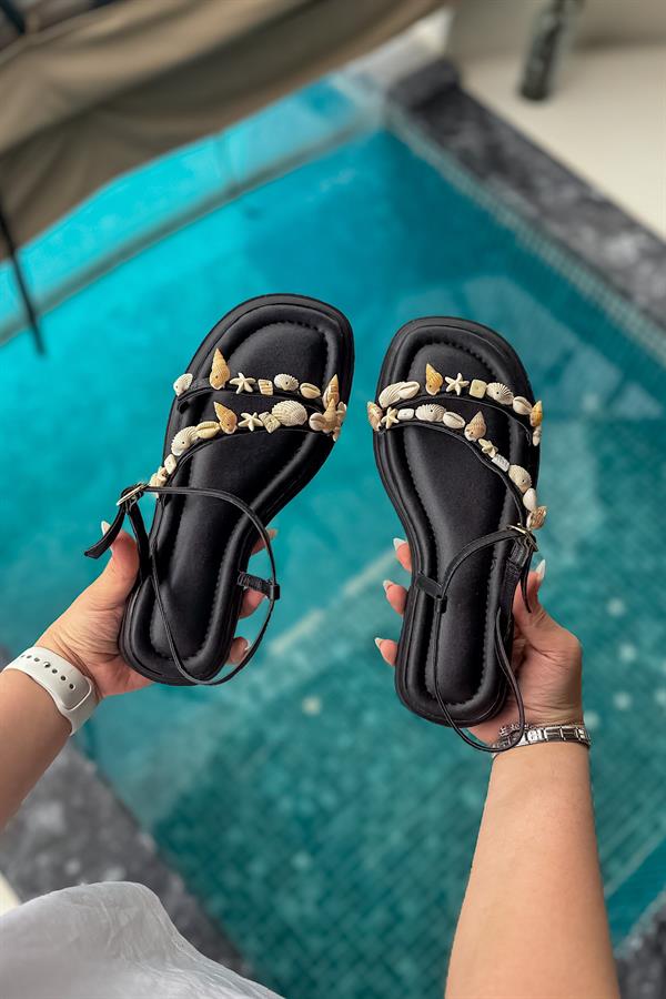 Daniel Sıyah Deniz Kabuk Detaylı Kadın Sandalet