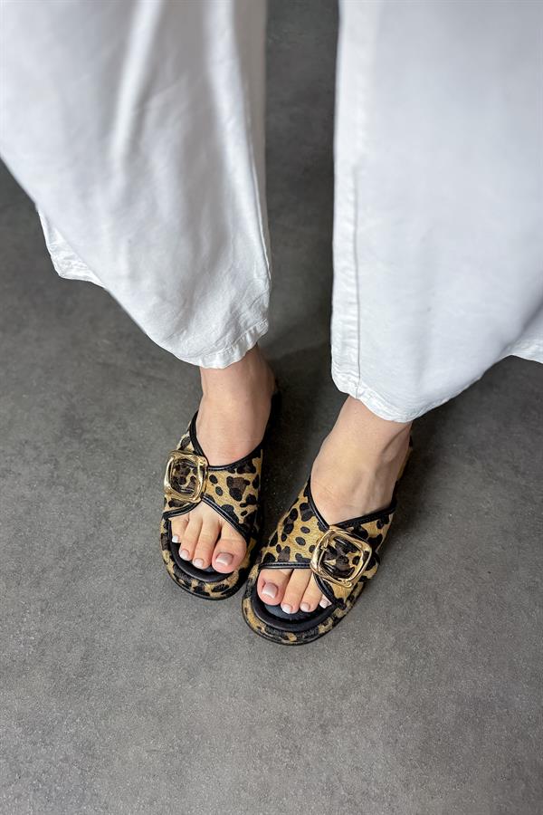 Mias Leopar Gold Toka Detaylı Kadın Terlik