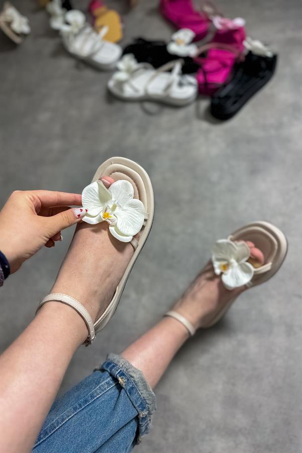 Oils Bej Çiçek Detaylı Kadın Sandalet