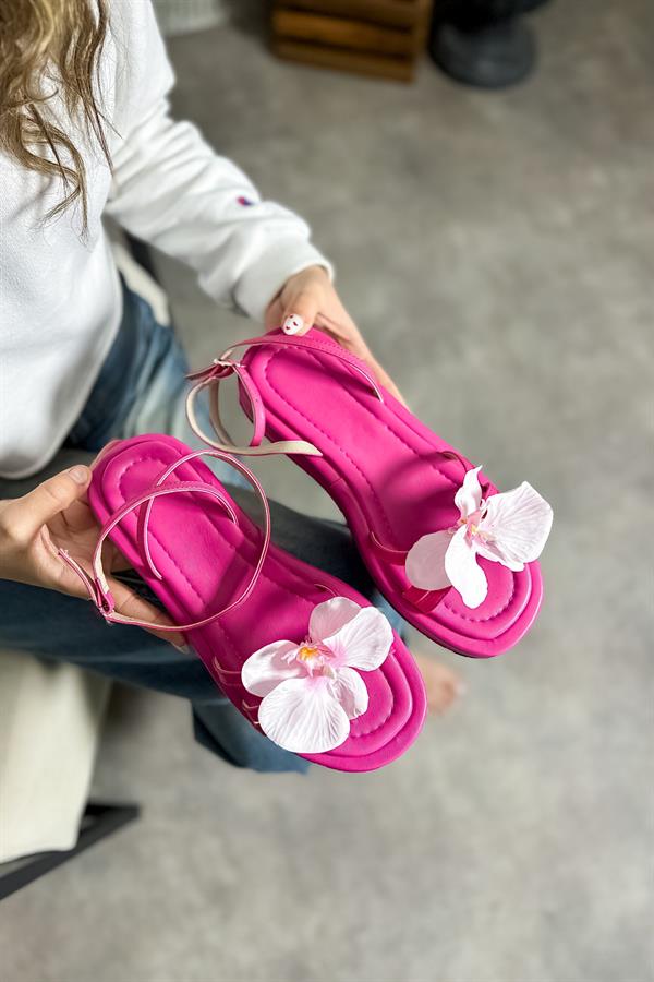 Oils Fuşya Çiçek Detaylı Kadın Sandalet