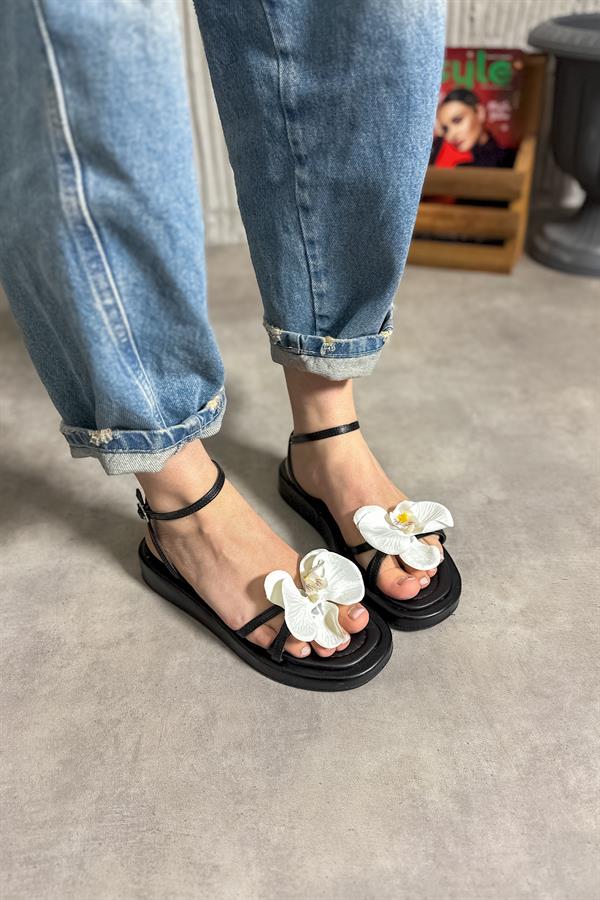 Oils Siyah Çiçek Detaylı Kadın Sandalet