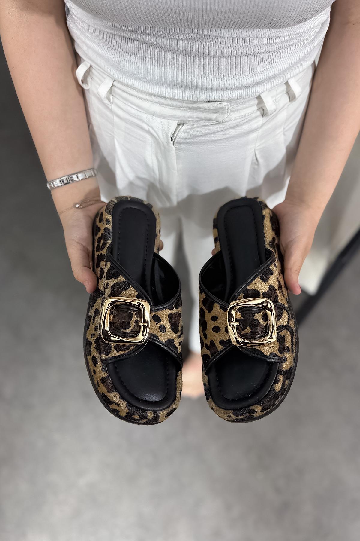 Mias Leopar Gold Toka Detaylı Kadın Terlik