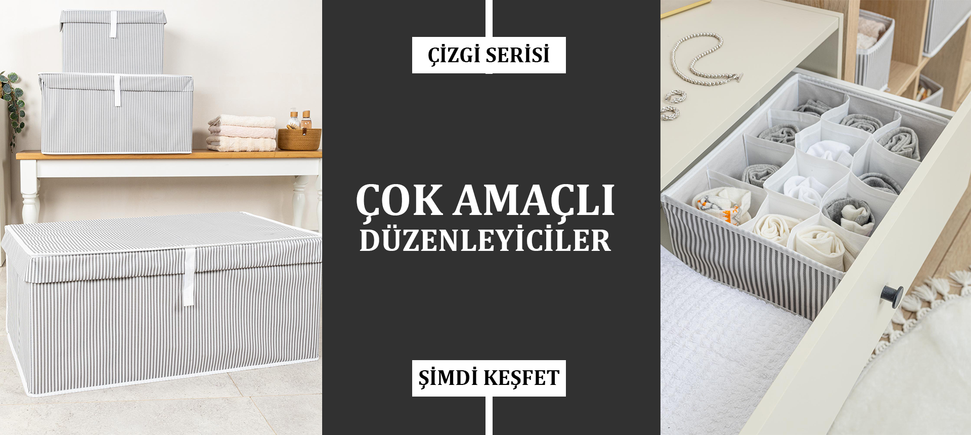 Çizgi Serisi Düzenleyiciler