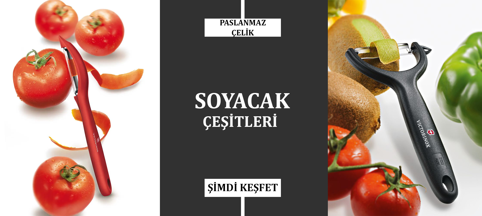 Soyacak Çeşitleri