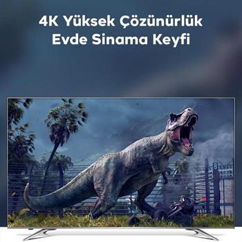 Polham 1MT 100W 5A 10Gbps Type C Uzatma Kablosu, Şarj, Data ve Görüntü Aktarmalı Çevirici Kablo