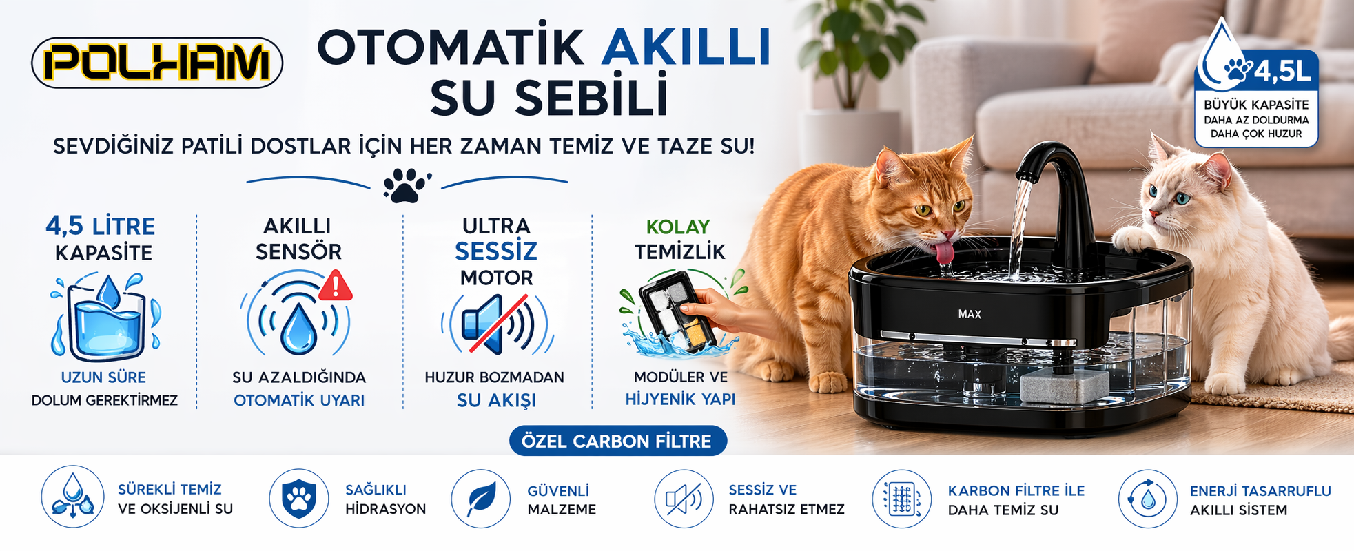 Kedi Suluğu