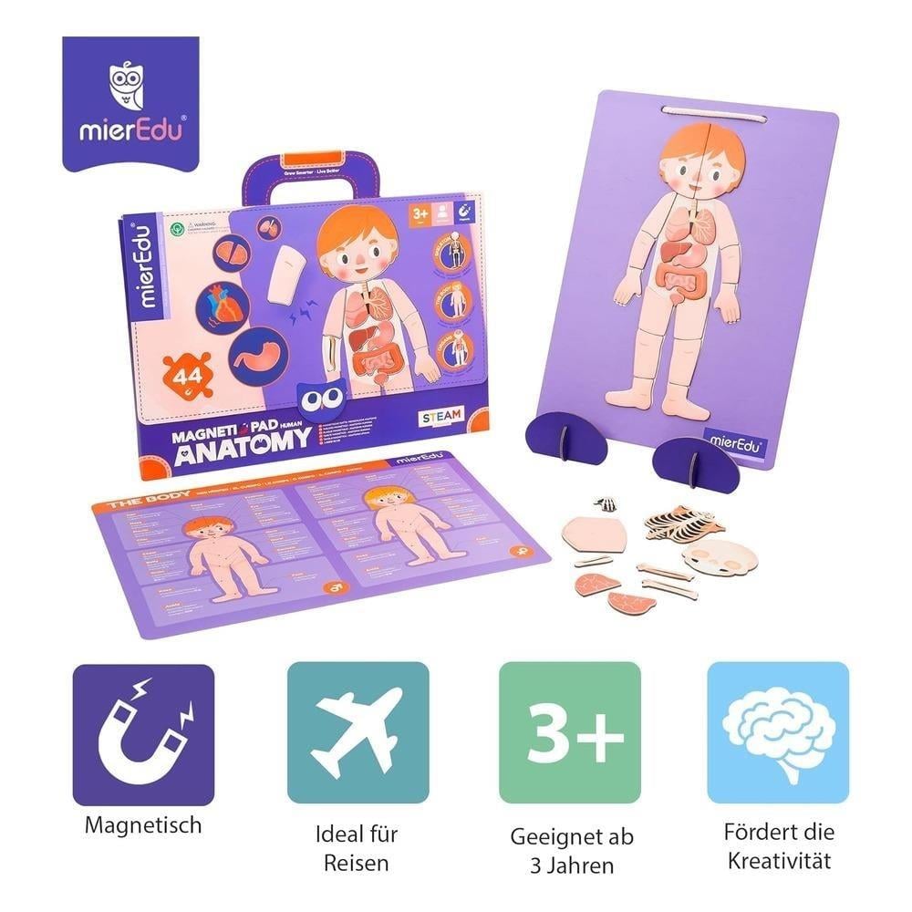 MierEdu-Manyetik Tablet-İnsan Anatomisi