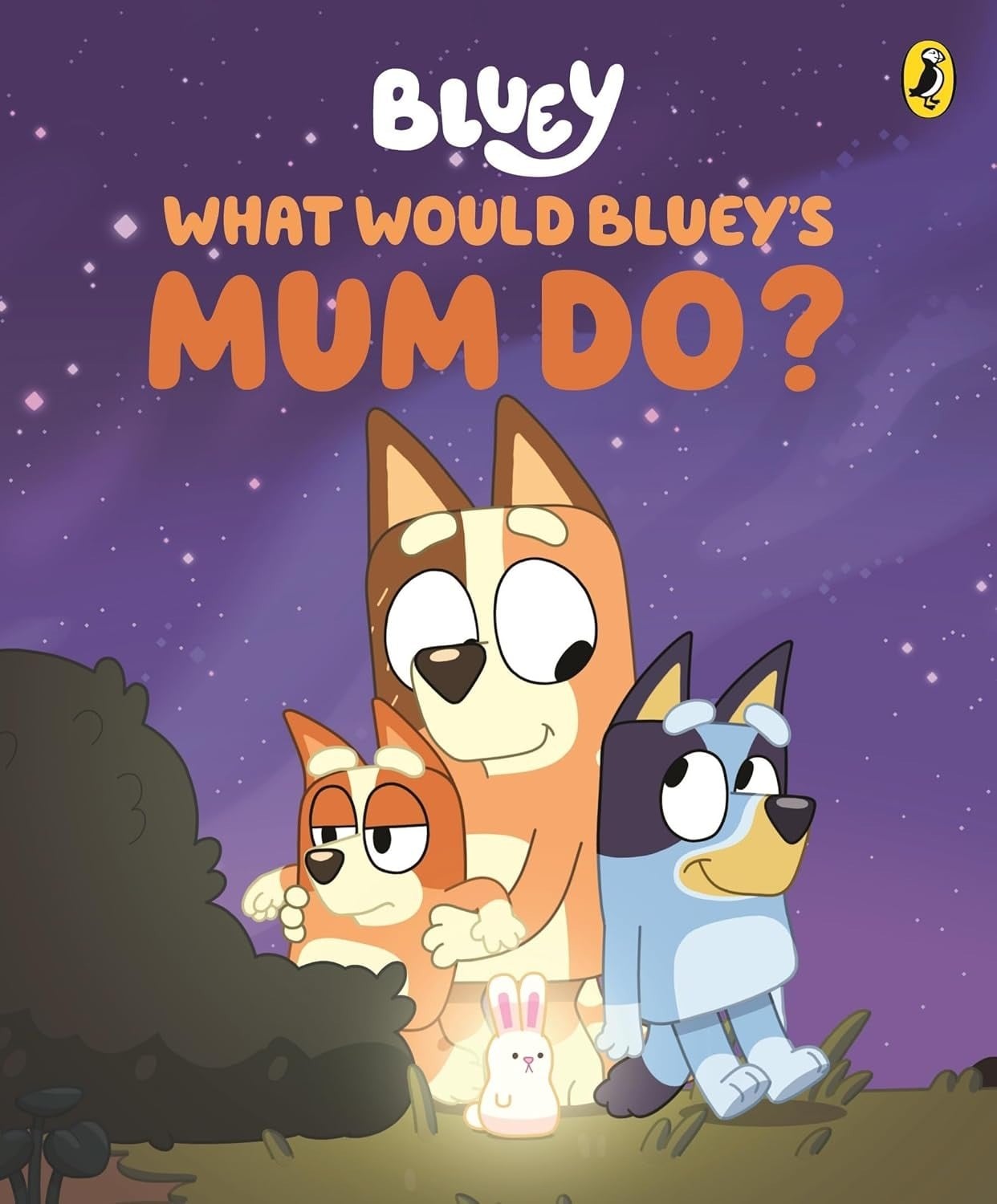 Bluey - What Would Bluey's Mum Do