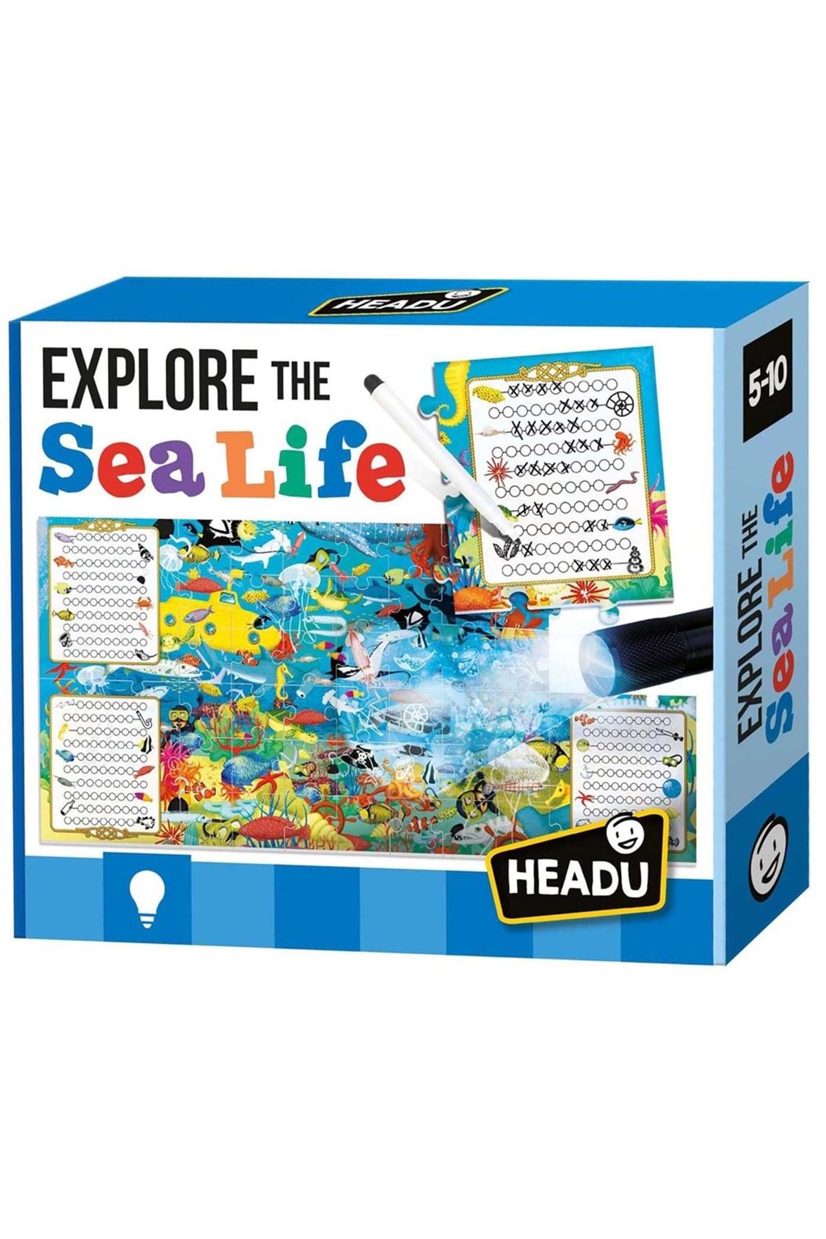 Headu Explore The Sea Life