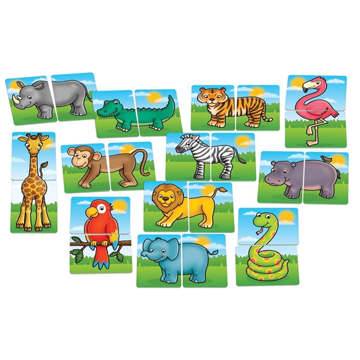 Orchard-Jungle Heads and Tails(18+)