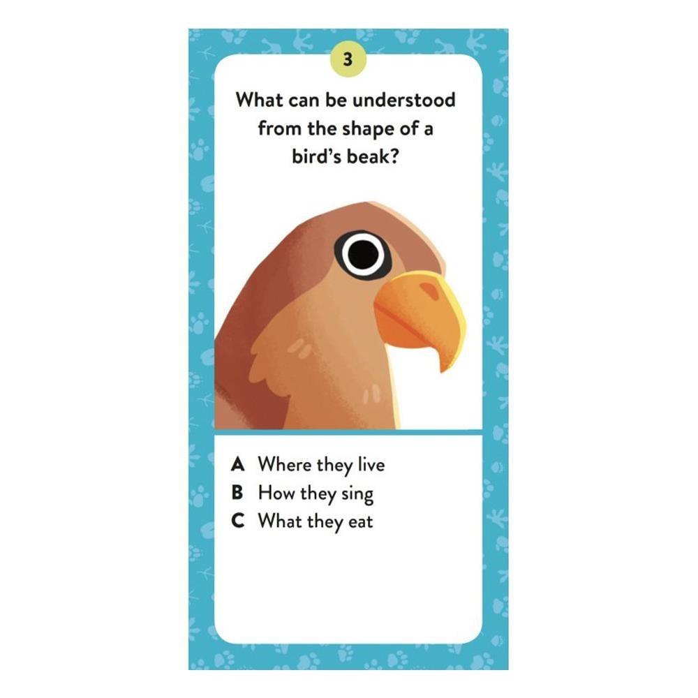 Sassi-Animals - The Ultimate Atlas - New Edition