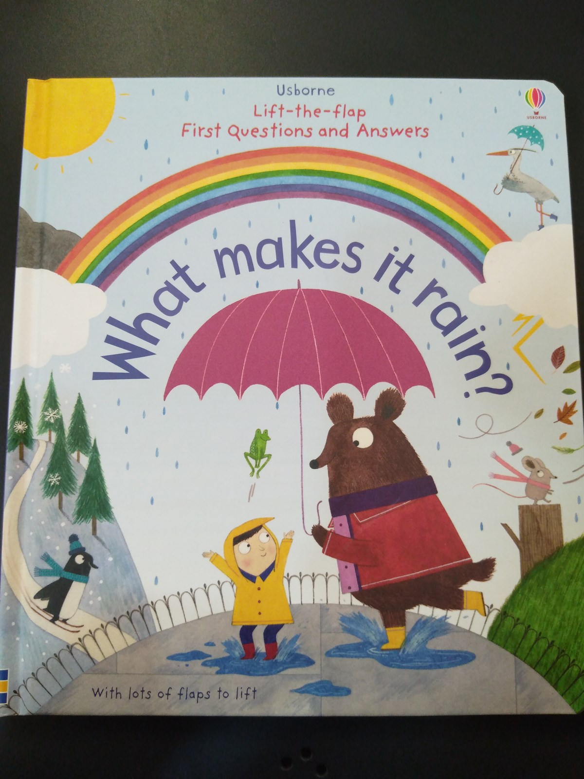 Usborne-what makes it rain